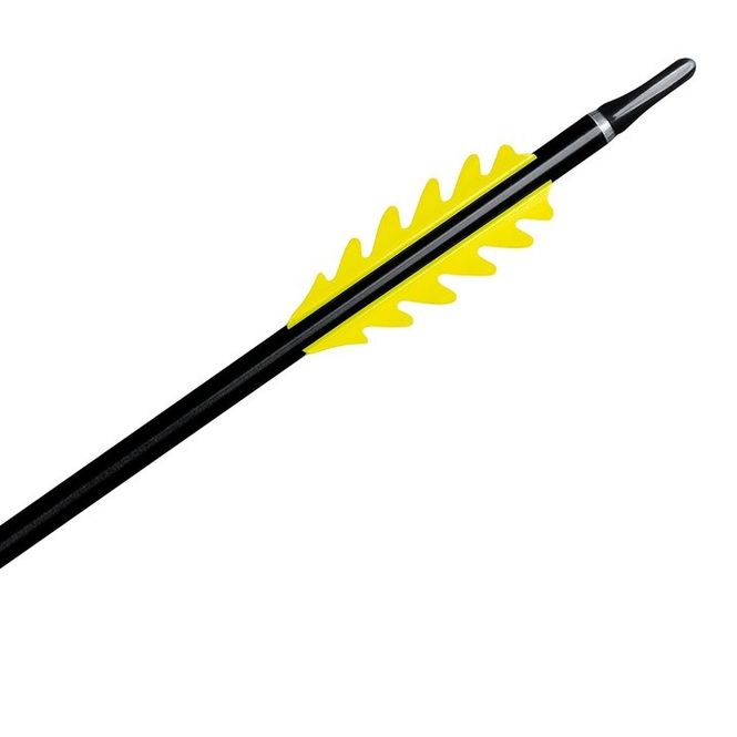 Hovedbilde Bjorn DragonFlight 275